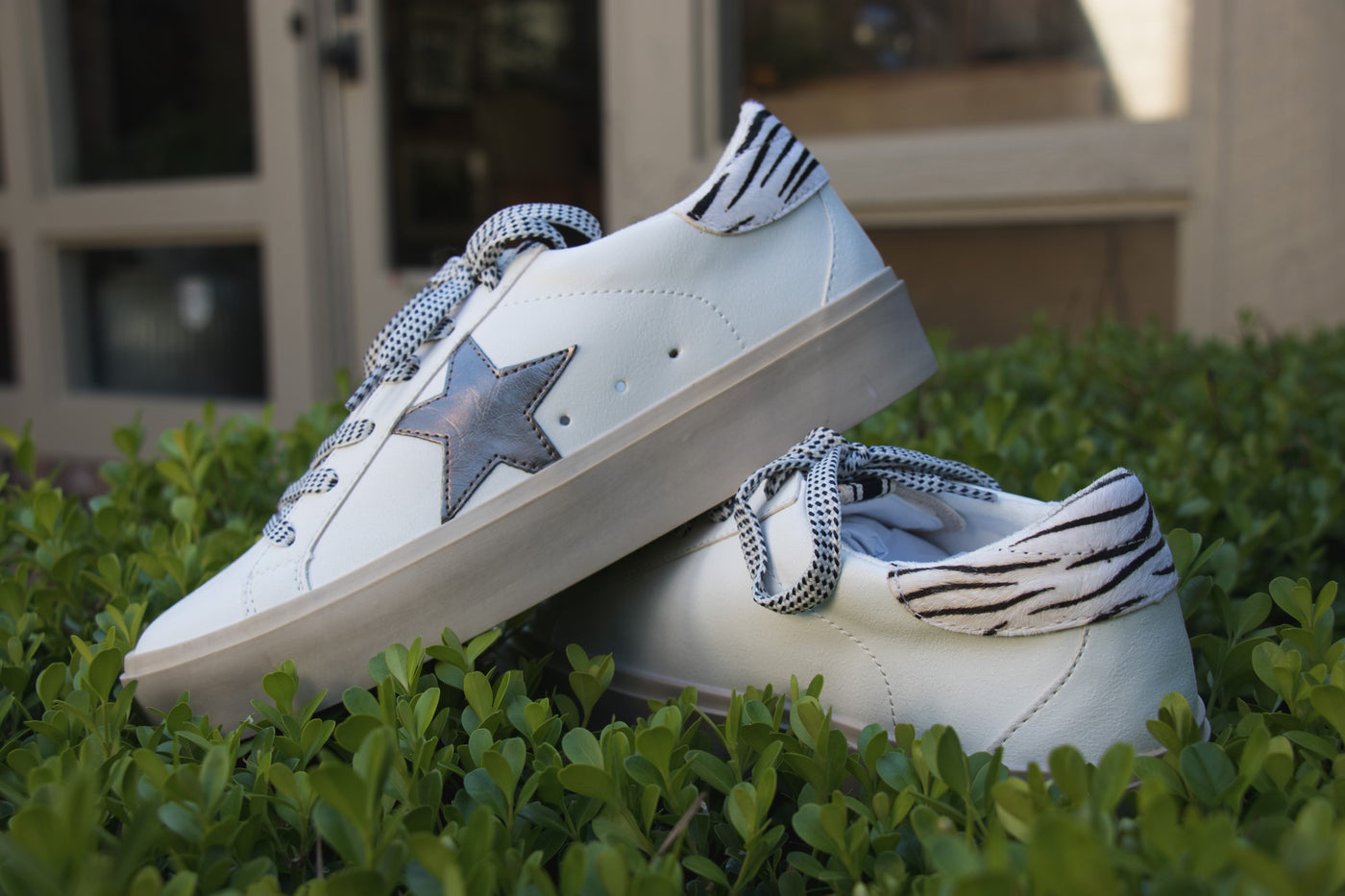 Graphite Star Sneaker